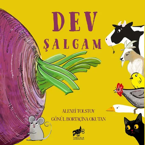 Dev Şalgam kitabının kapağı